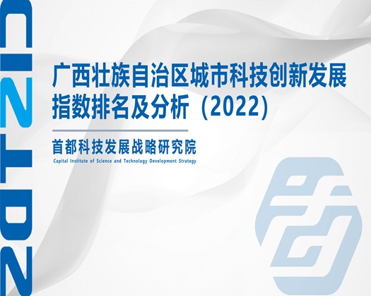 日中国女人大屄屄【成果发布】广西壮族自治区城市科技创新发展指数排名及分析（2022）